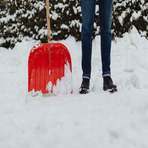 Best Snow Shovels of 2023: Tested & Reviewed